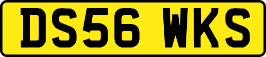 DS56WKS
