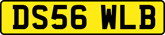 DS56WLB