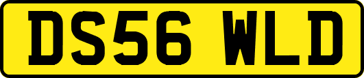 DS56WLD