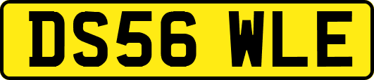 DS56WLE