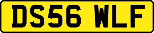 DS56WLF
