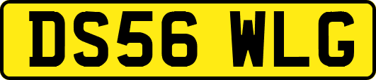 DS56WLG