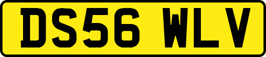 DS56WLV