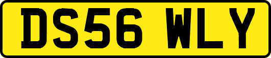 DS56WLY