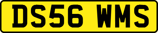 DS56WMS