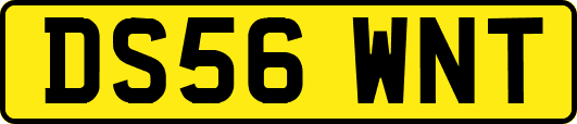 DS56WNT
