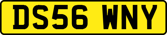 DS56WNY