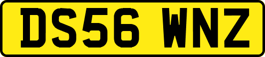 DS56WNZ