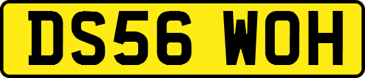 DS56WOH