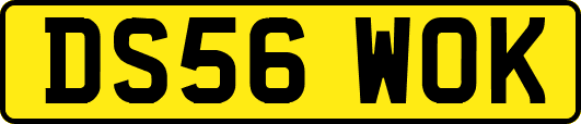 DS56WOK