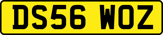 DS56WOZ