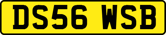 DS56WSB