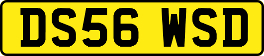 DS56WSD
