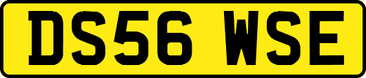 DS56WSE