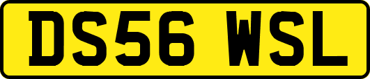 DS56WSL