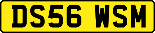 DS56WSM