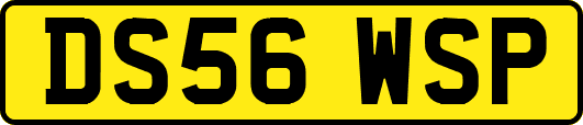 DS56WSP