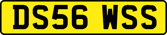 DS56WSS