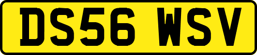 DS56WSV