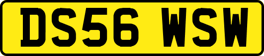 DS56WSW