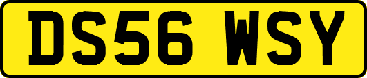 DS56WSY