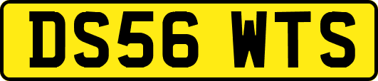 DS56WTS
