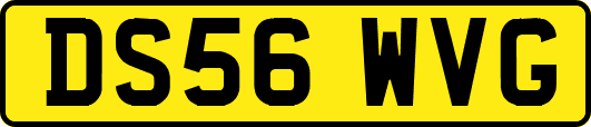 DS56WVG