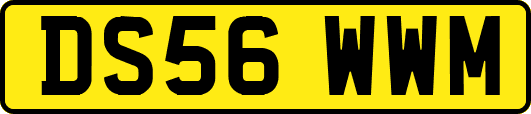 DS56WWM