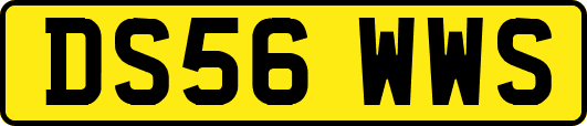 DS56WWS