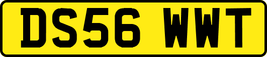 DS56WWT