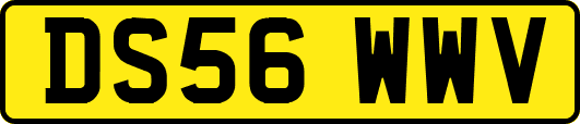 DS56WWV