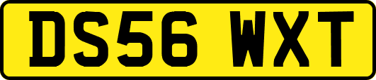 DS56WXT