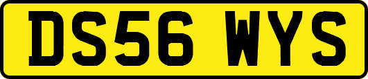 DS56WYS