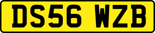 DS56WZB