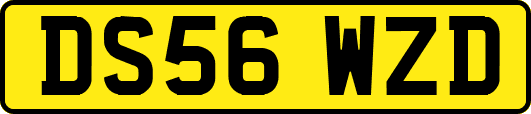 DS56WZD