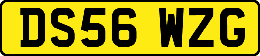 DS56WZG