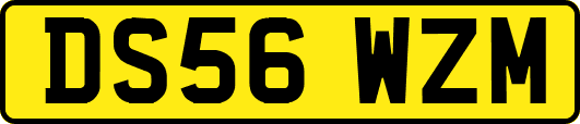 DS56WZM