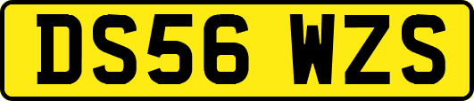DS56WZS
