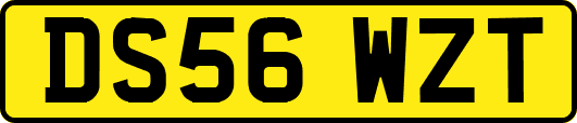 DS56WZT