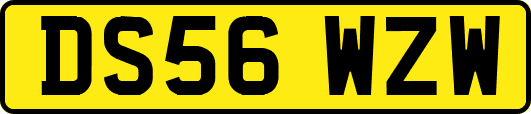 DS56WZW