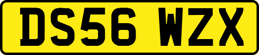 DS56WZX