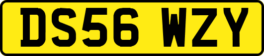 DS56WZY