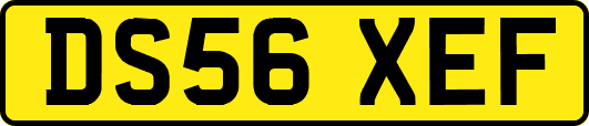 DS56XEF