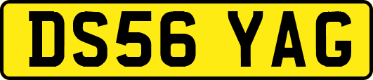 DS56YAG