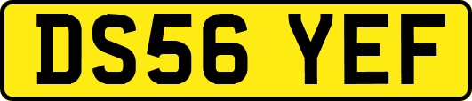DS56YEF