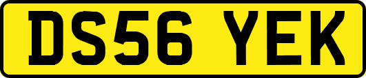 DS56YEK