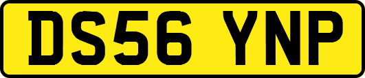 DS56YNP