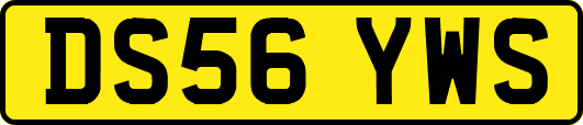 DS56YWS