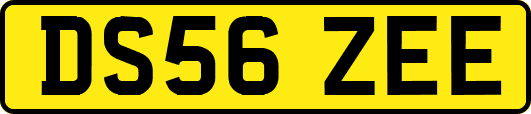DS56ZEE