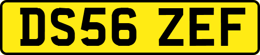 DS56ZEF